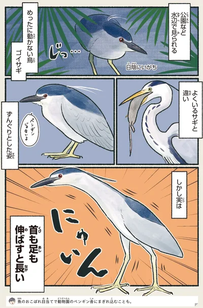 首も足も伸ばすと長い