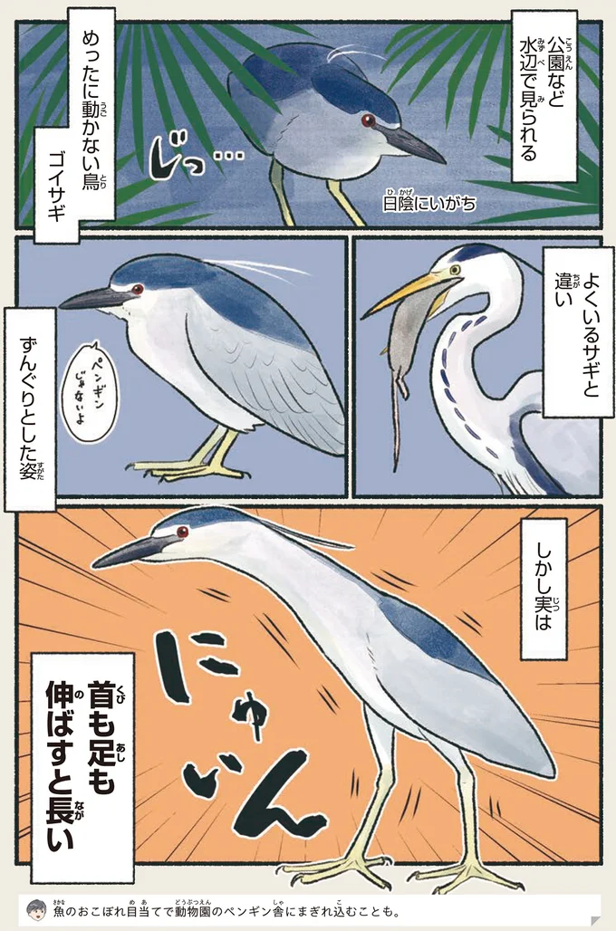 首も足も伸ばすと長い
