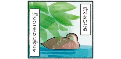 池でひっそりと過ごす