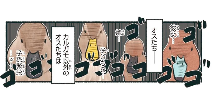 カルガモ以外のオスたちは
