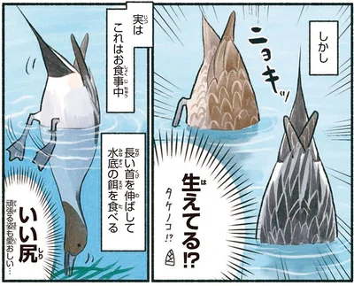 生えてる！？
