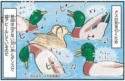 普段は出さない甘い声とダンスで猛アピールしているのだ