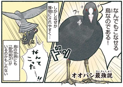 なんでもこなせる鳥なのである！