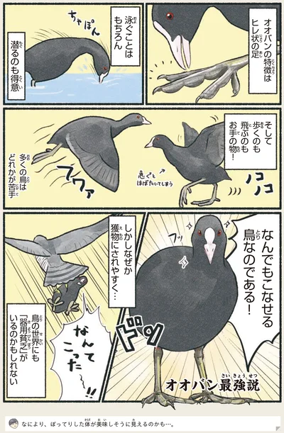 鳥の世界にも「器用貧乏」がいるのかもしれない
