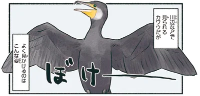 よく見かけるのはこんな姿