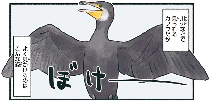よく見かけるのはこんな姿