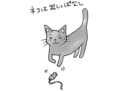 ネコは出しっぱなし
