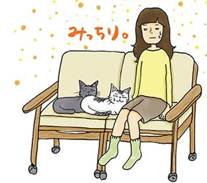 使いやすさより、猫優先！こだわりの仕事椅子【ミニマリストの暮らし】