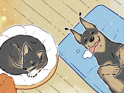 犬と家族になりたい