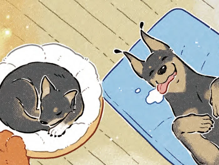 ペットではなく「家族」になりたい。犬と暮らすと決めたときに感じたこと