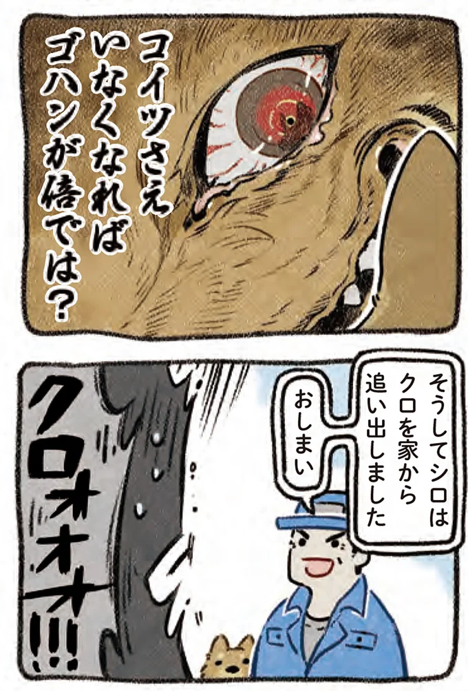 『ドベとノラ 4 犬と家族に』より