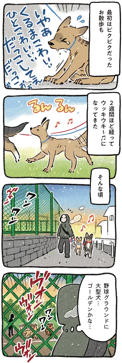 『ドベとノラ 4 犬と家族に』より