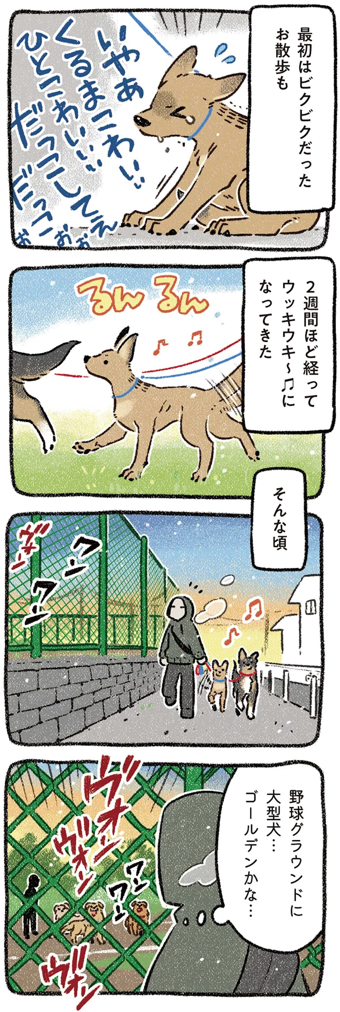 『ドベとノラ 4 犬と家族に』より