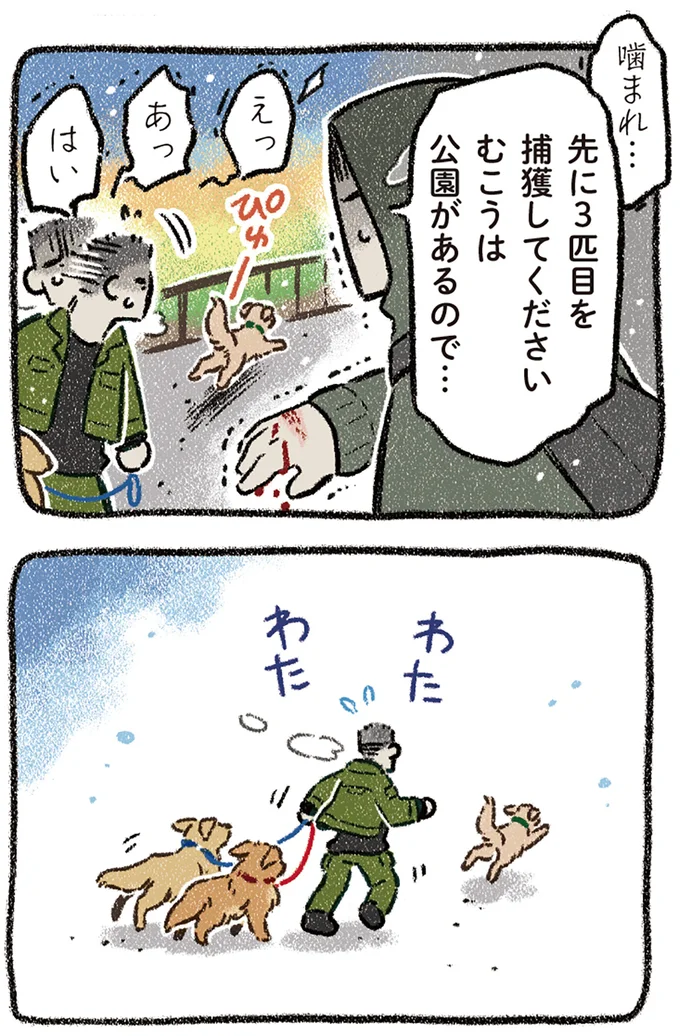 『ドベとノラ 4 犬と家族に』より
