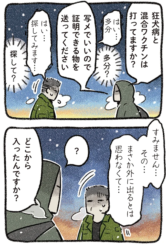 『ドベとノラ 4 犬と家族に』より
