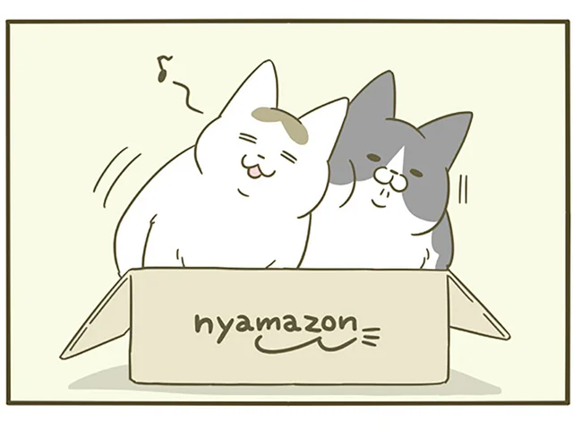 2匹の猫たち、ひとつの箱に一緒に入ってる。ついさっきまで楽しそうだったのに！