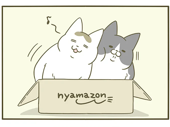 ひとつの箱に入る猫たち