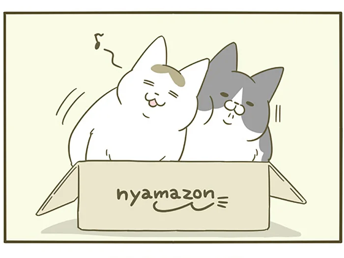 2匹の猫たち、ひとつの箱に一緒に入ってる。ついさっきまで楽しそうだったのに！