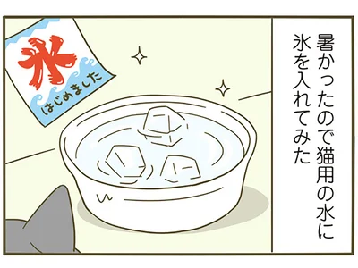 氷をいれてみた