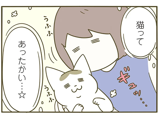 猫ってあったかい