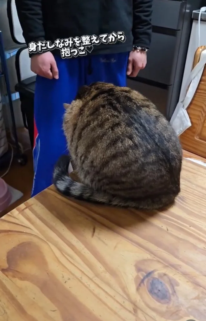 自分の足をペロペロ舐めている▶抱っこされる前に…（⇒次へ）