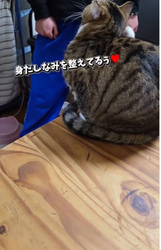 身だしなみを整えたかったの▶準備オッケー？（⇒次へ）