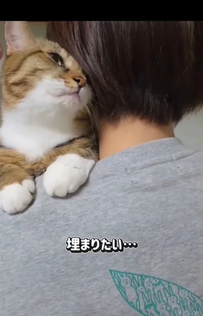 ママが大好き▶ママのバッグを見つけると…（⇒次へ）