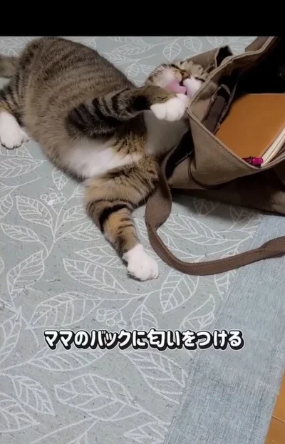 自分の匂いをつけている▶ママのお出かけは…（⇒次へ）