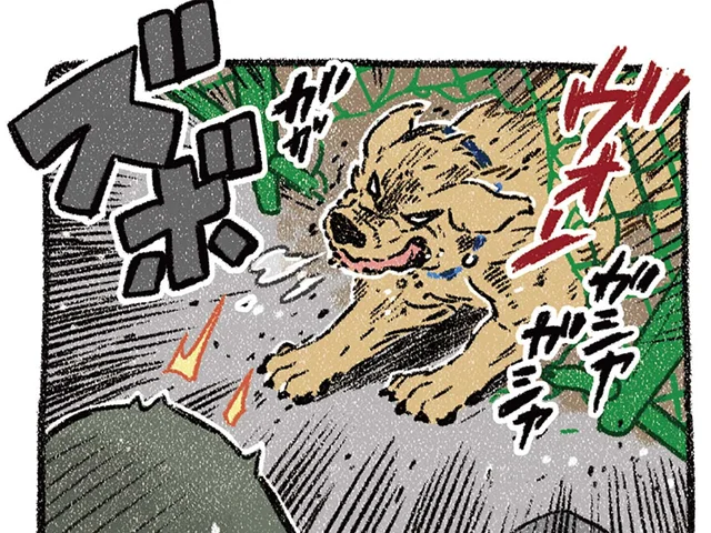 足早に通り過ぎよう…と思っていたのに！ 大型犬が飛び出してきて／ドベとノラ4（6）