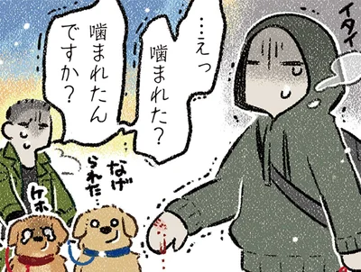 管理ができていない飼い主