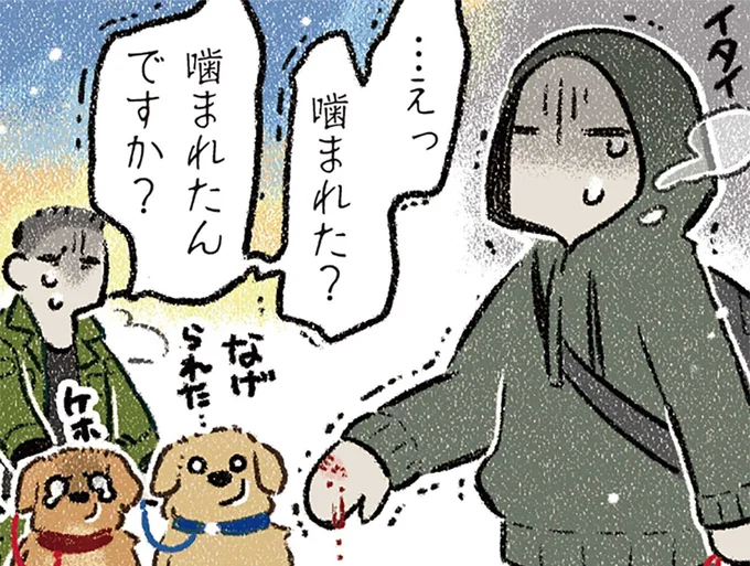 管理ができていない飼い主