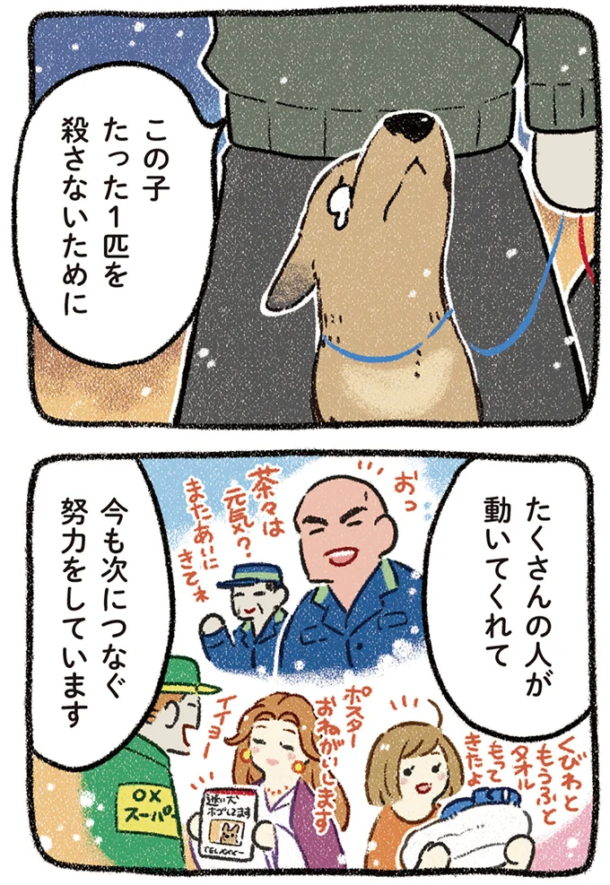 この子たった1匹を