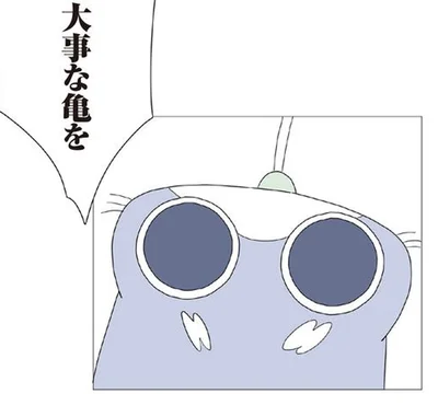 大事な亀を