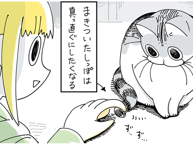 巻き付いたしっぽをまっすぐに。飼い主の戯れに付き合うネコ