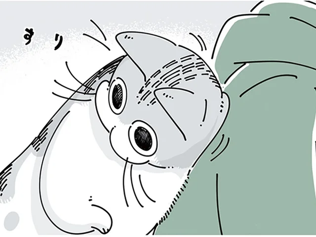 かまわずにいられない！ 遊びたそうに甘えてくる猫に飼い主が陥落するまで