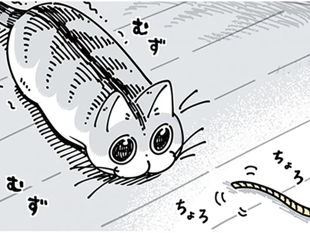 「紐が好きなんだな」ネコが喜ぶと思って紐状のおもちゃを買ってきたら