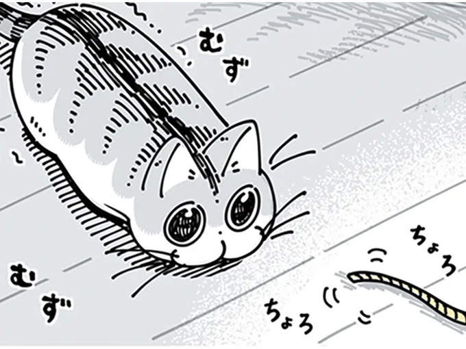 紐が気になる