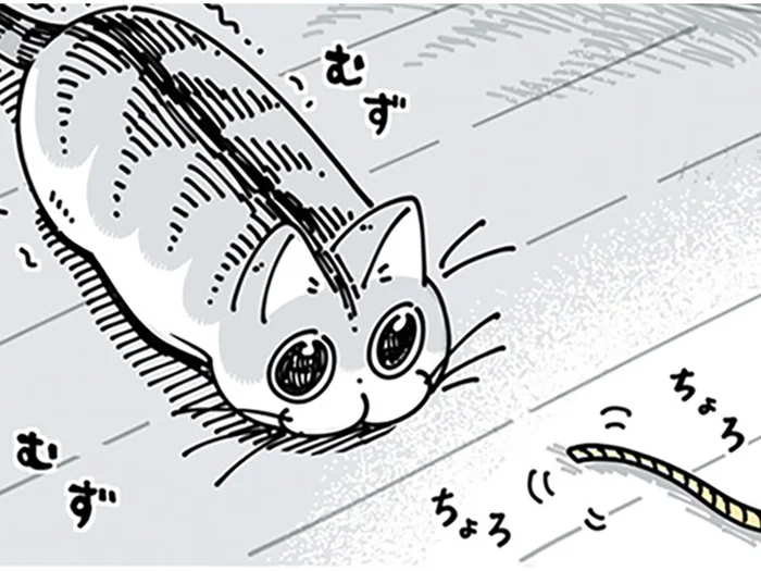 「紐が好きなんだな」ネコが喜ぶと思って紐状のおもちゃを買ってきたら