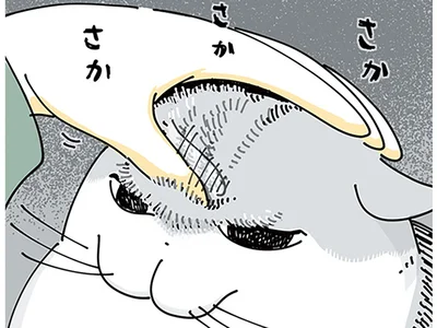 さかさかさか…