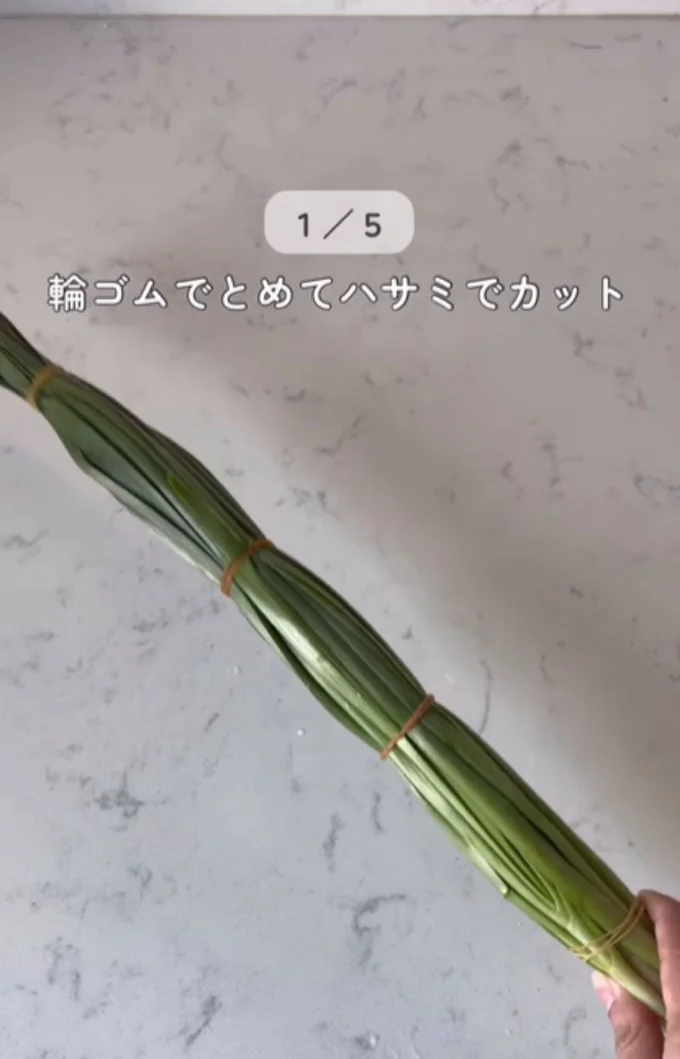 ニラを輪ゴムで等間隔にとめる(⇒次へ)