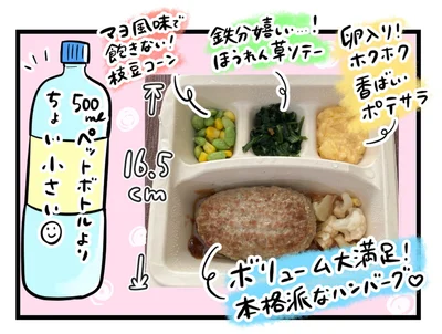 ナッシュの1番人気、「オニオングリルハンバーグ」をチョイス