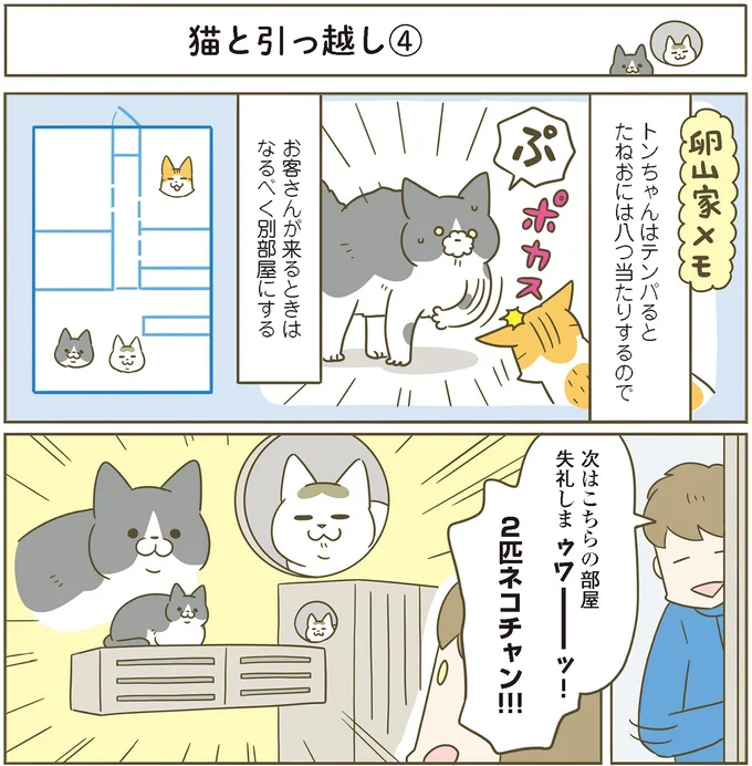 2匹ネコチャン!!!