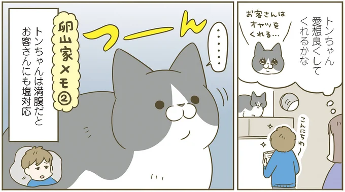 トンちゃん愛想良くしてくれるかな