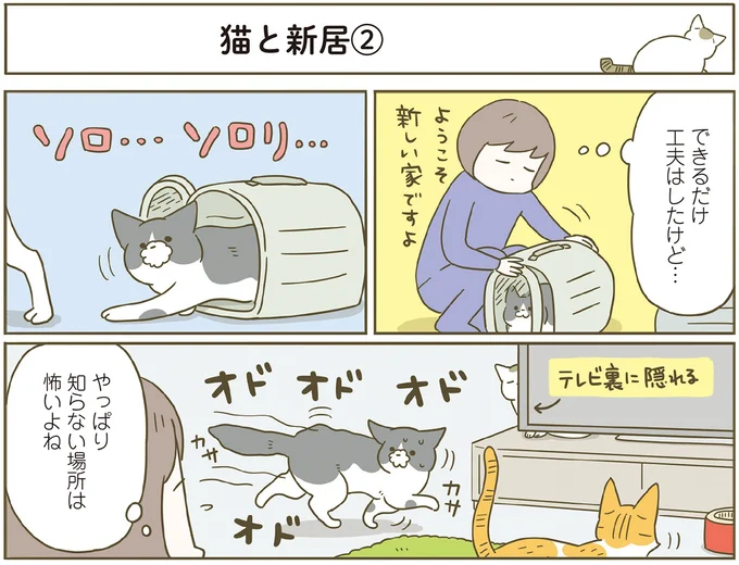 『うちの猫がまた変なことしてる。７』より