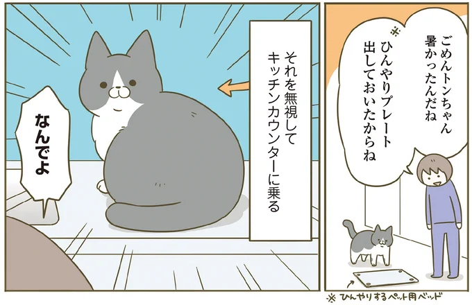 『うちの猫がまた変なことしてる。７』より