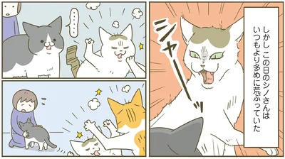 『うちの猫がまた変なことしてる。７』より