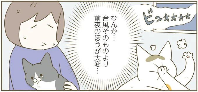 『うちの猫がまた変なことしてる。７』より
