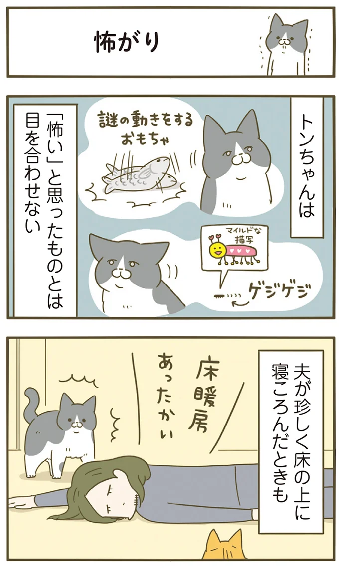 『うちの猫がまた変なことしてる。７』より