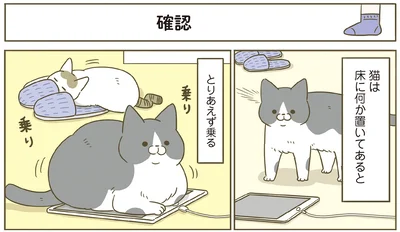 『うちの猫がまた変なことしてる。７』より