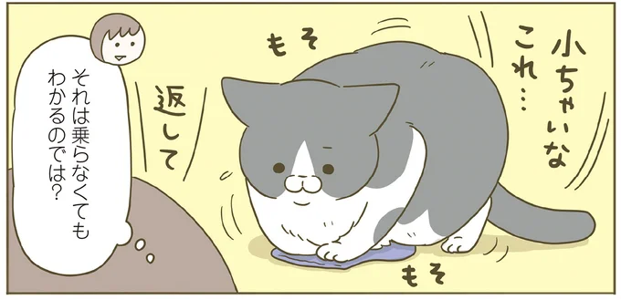 『うちの猫がまた変なことしてる。７』より